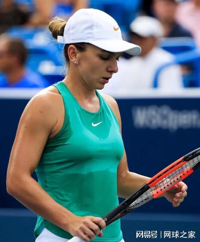 刘诗雯的职 刘诗雯的职