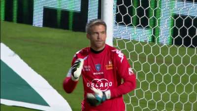 的组合投放 的组合投放